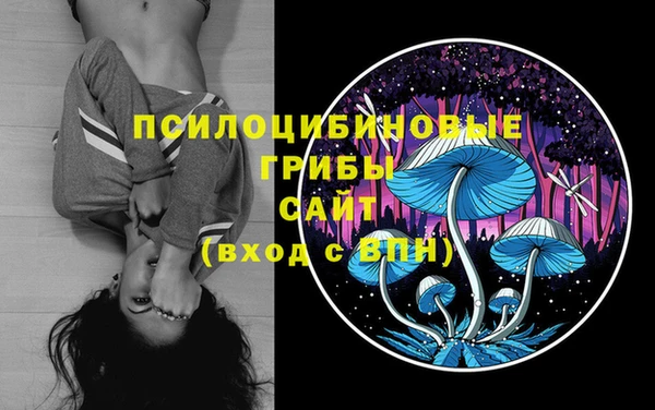 марки nbome Беломорск