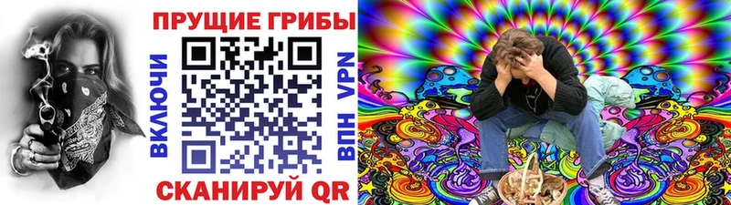 Галлюциногенные грибы Magic Shrooms  hydra вход  Александровское 